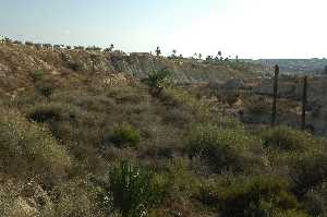 Paisaje semidesertico t�pico de Abanilla 