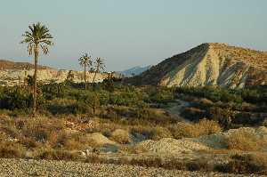 Paraje de El Olivar junto al r�o Ch�camo 