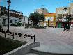 Plaza del Olivo - Regin de Murcia Digital