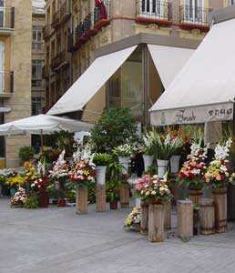 Puesto de Flores, en la espalda de la Iglesia de San Pedro, Plaza de las Flores. Murcia