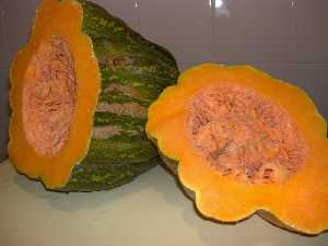 Las pepitas de la calabaza se utilizan en medicina natural