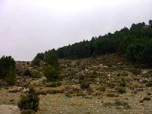 Pozos de Cartagena