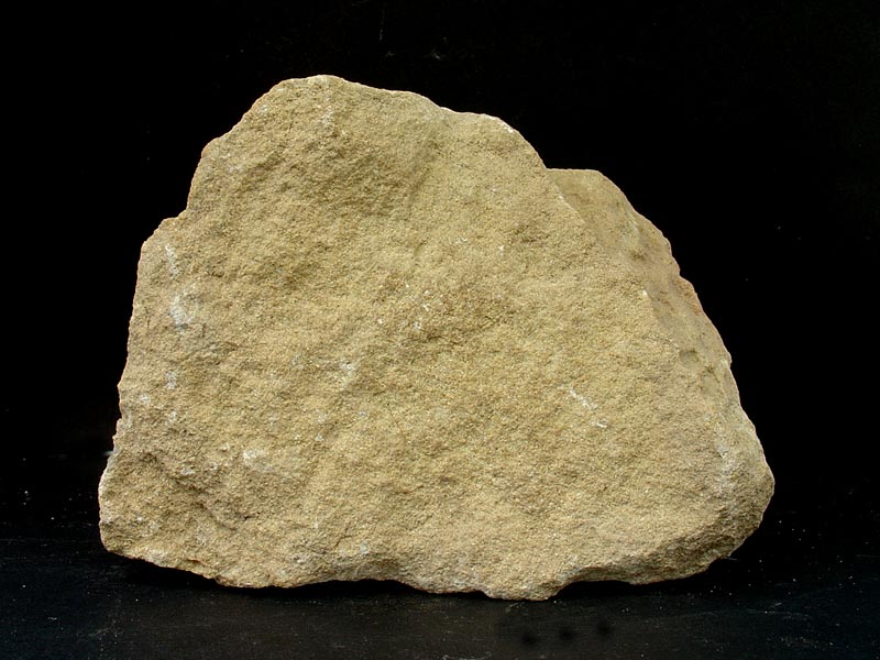 Arenisca calcrea del Mioceno superior de Molina de Segura [Rocas]. Antonio del Ramo