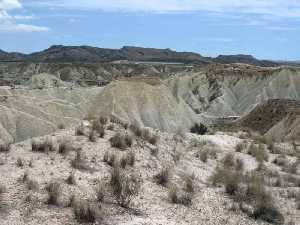 Paisaje en bad lands modelado en las margas del Tortoniense (Mioceno superior) de Lorca 