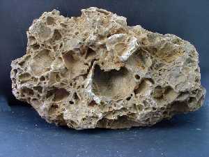 Carniola del Triásico superior de Caravaca 