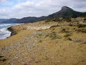 La alternancia entre tramos de naturaleza sedimentaria y rocosa queda patente en zonas como Calblanque