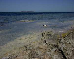 El Mar Menor es el principal humedal de la Regin de Murcia, localizado al pie de la llanura sedimentaria del Campo de Cartagena