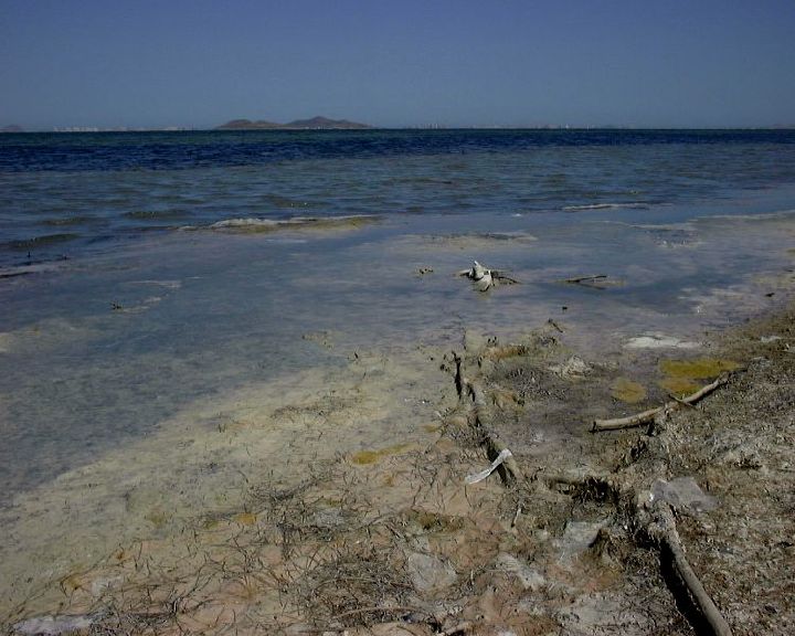 El litoral2Grandes Unidades de Relieve Región de Murcia