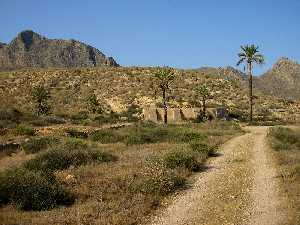 La agricultura tradicional ha contribuido a la diversificacin del paisaje del litoral mediterrneo