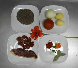 Ingredientes 