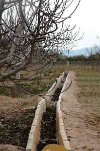  Acequia en al Huerta de Murcia 