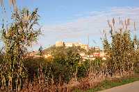 Panormica de Cabezo de Torres