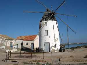 Vista general del Molino de San Quintn (San Pedro) [Molino de Quintn de San Pedro del Pinatar]