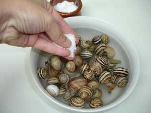 Limpiar los caracoles 