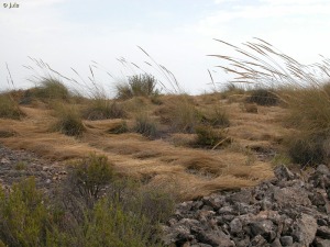 Sierra de Ascoy