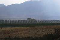 Explotaci�n agr�cola de Almendricos (Lorca) 