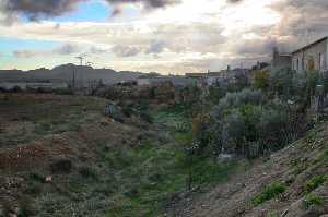 Rambla cercana a Almendricos 