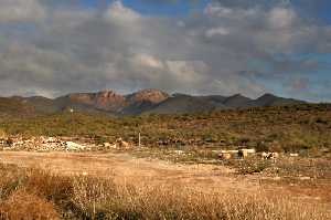 Paisaje caracterstico de Almendricos 