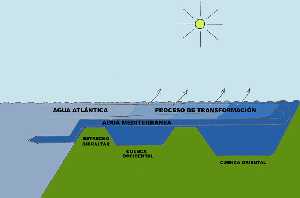 Representación esquemática del proceso de transformación del agua atlántica a medida que se adentra en el Mediterráneo [Litoral sumergido]