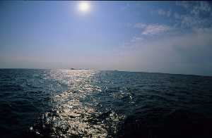 Figura 1. El agua de mar es el hábitat más extendido por la Tierra