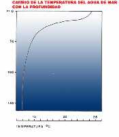 Representacin grfica del cambio de temperatura con la profundidad. Perfil trmico propio del verano en aguas del Mediterrneo. 