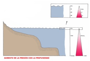 Figura 2. Representación gráfica del aumento de presión con la profundidad - Cristina Eisman