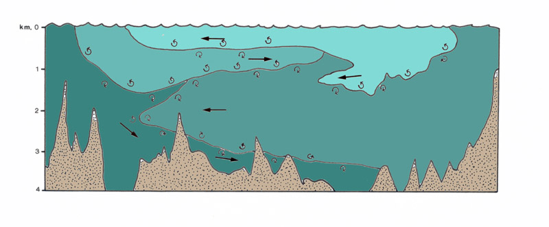 Figura 1. Corte transversal de un ocano, donde se aprecian las principales masas de agua y las corrientes que se forman por gravedad, al tender las masas menos densas a situarse sobre las de mayor densidad. Se aprecian los efectos de mezcla en las zonas de contacto - Cristina Eisman