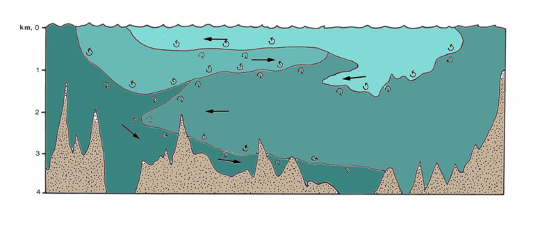 Corte transversal de un ocano, donde se aprecian las principales masas de agua y las corrientes que se forman por gravedad [Litoral sumergido]