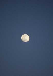 La luna, por su proximidad a la tierra, tiene el doble de importancia que el sol en el fenmeno de las mareas