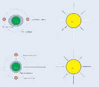 Figura 2. La atraccin del sol y la luna pueden actuar en la misma direccin (mareas vivas) o contrarrestarse al actuar en ngulo recto (mareas muertas)