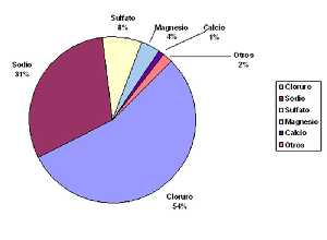 Gráfico 1. Representación gráfica de los elementos químicos principales disueltos en el agua del mar y sus porcentajes 
