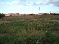 Naturaleza y El Albujn al fondo 