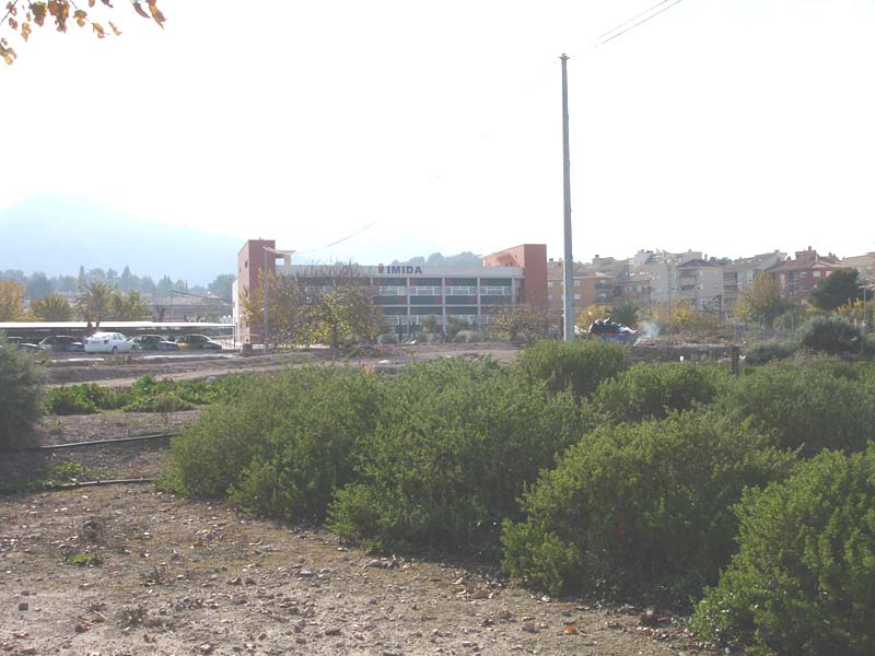  Instituto Murciano de Investigación y Desarrollo Agrario [La Alberca_Economía]. 