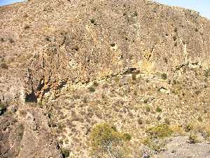 Cueva de Las Enredaderas en Cieza [Cieza]