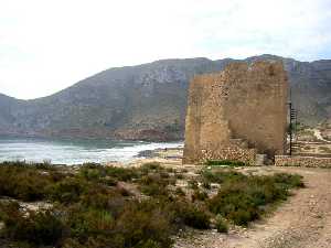 Vista de la Torre de Cope