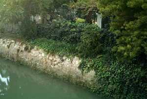 Muro del Canal [Acequia Alquibla]