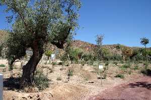 Vista del Yacimiento 