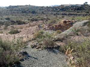 Alrededores [Rincn de los Almendricos]