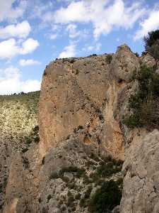 Entorno [Castillo de Luchena]