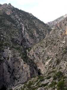 Entorno y Garganta [Castillo de Luchena]