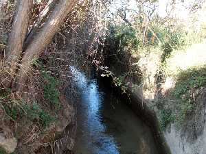 Acequia 