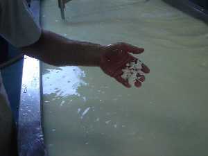 Durante la fabricacin de los quesos se elimina agua de la leche (desuerado) [Caminos del Thader]