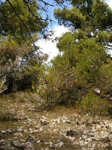 Vista del Pozo [Pozo de Nieve de Don Eleuterio]