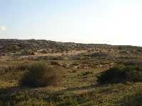 Dunas fsiles de Calblanque 