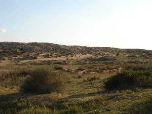 Dunas fsiles de Calblanque 