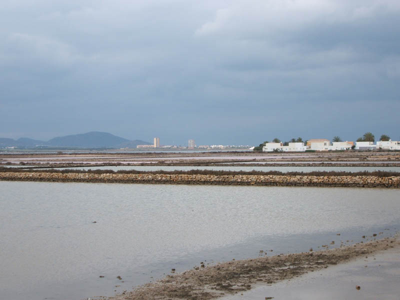 Las Salinas de Marchamalo [Cartagena_Rincn de San Gins]. 