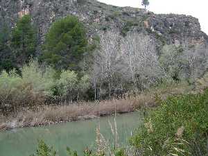 El Segura antes de penetrar en el municipio de Cieza