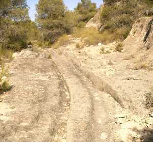 Calzada Utilizada para Transportar la Piedra