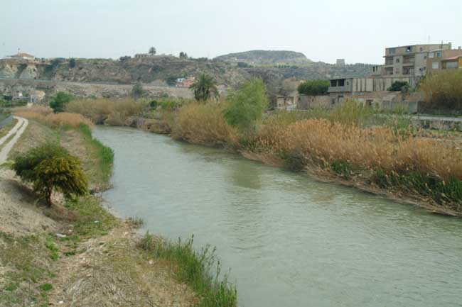 El río Segura, a su paso por el pueblo de Abarán