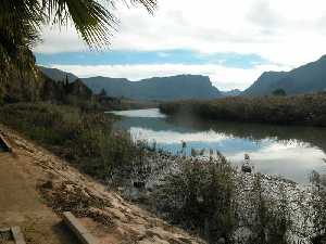 El ro Segura, remansado a su paso por Blanca